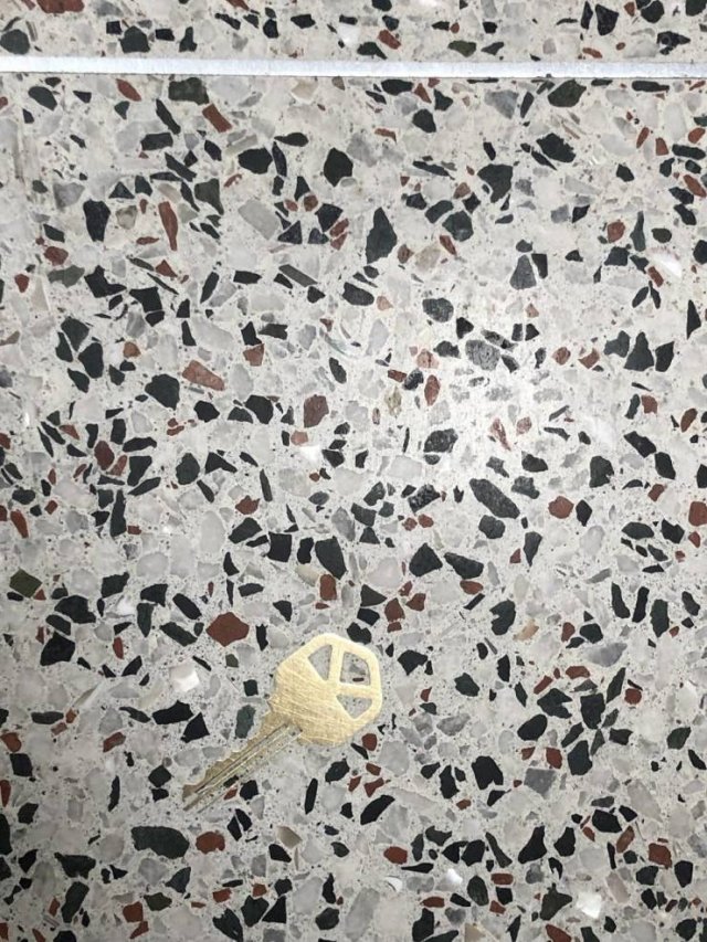 Interesting Finds (21 pics)