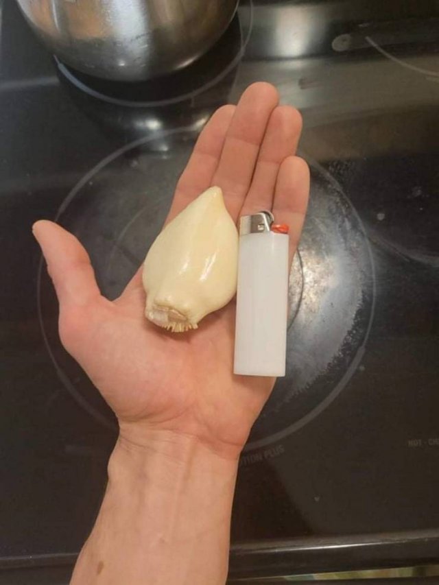 Interesting Finds (21 pics) Interesting Finds (21 pics)