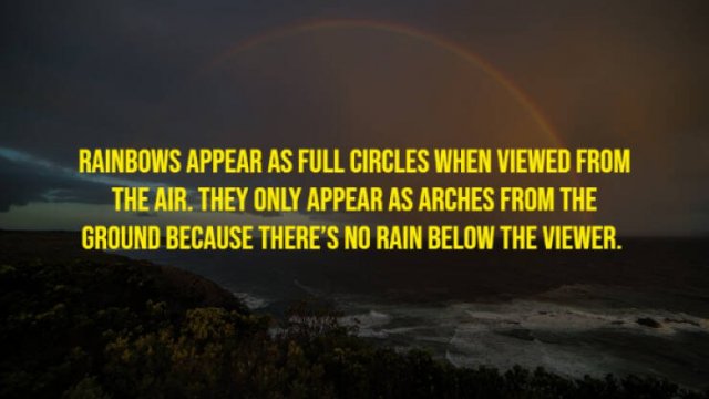 Random Facts (17 pics)