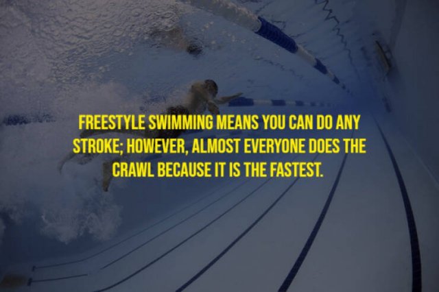 Random Facts (17 pics)