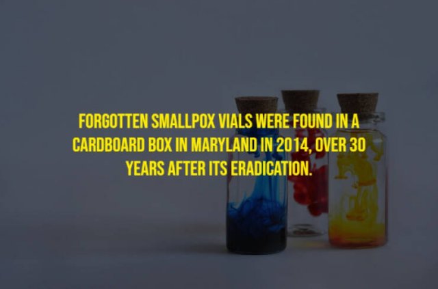 Random Facts (17 pics)