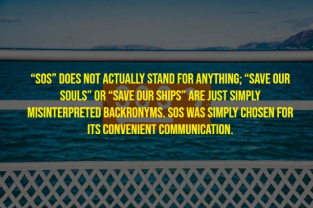 Random Facts (17 pics)