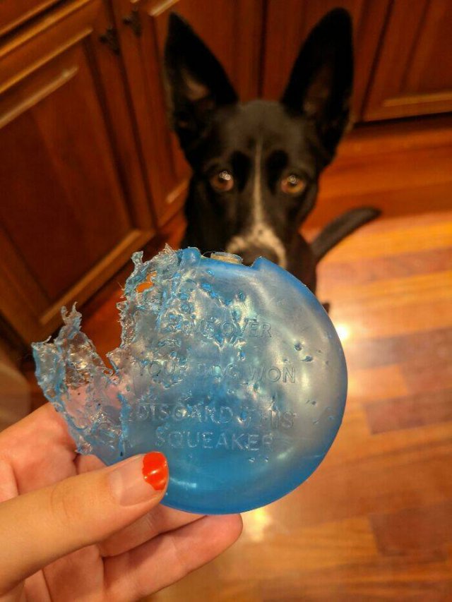 Easter Eggs In Real Life (48 pics)