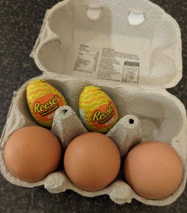 Funny Relationship (43 pics)
