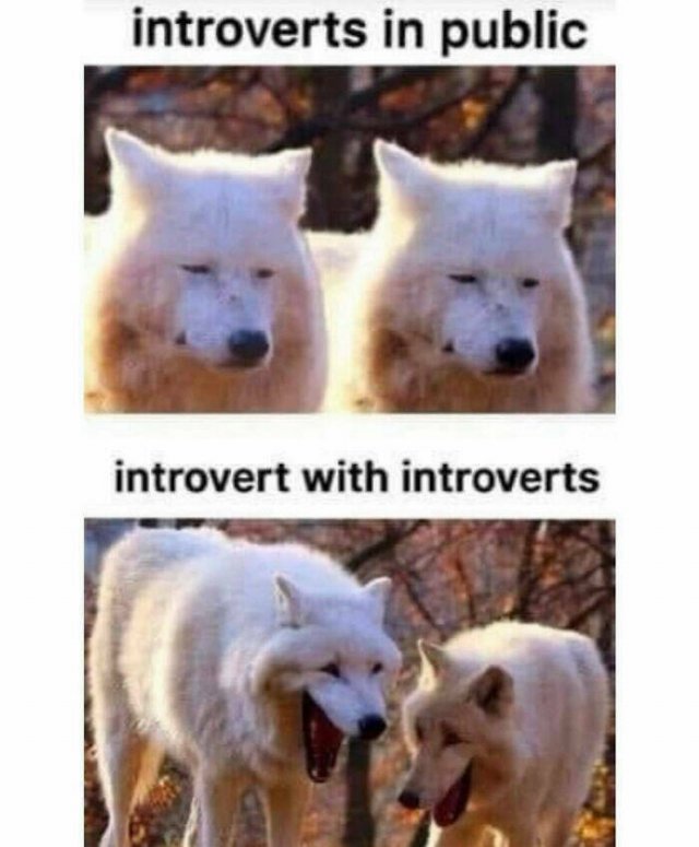 Memes For Introverts (39 pics)