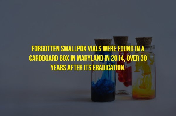 Random Facts (17 pics)