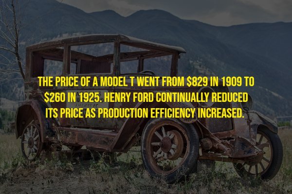 Random Facts (17 pics)
