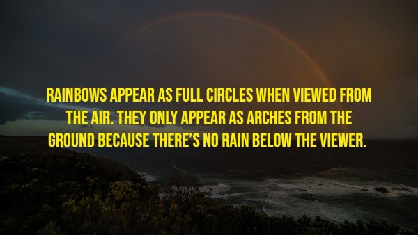 Random Facts (17 pics)