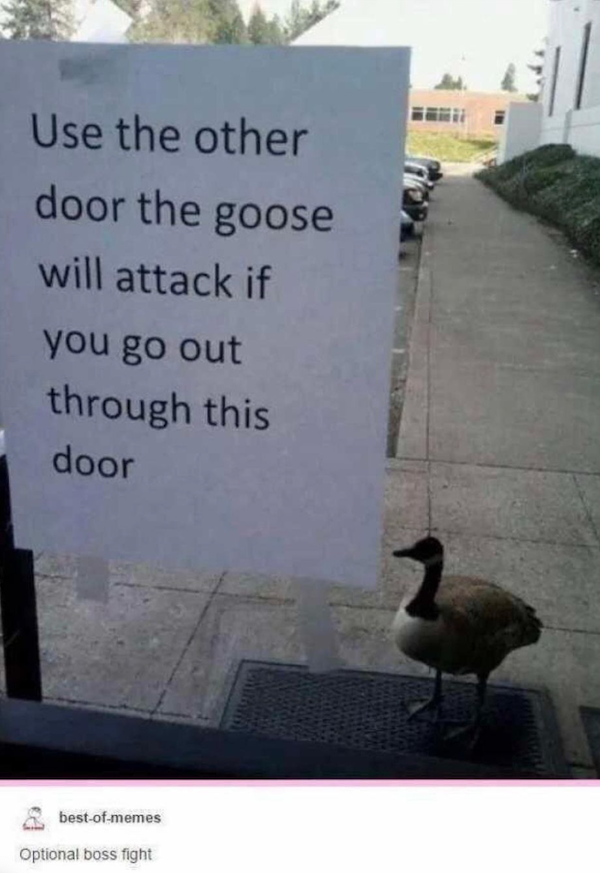 Memes For Gamers (37 pics)