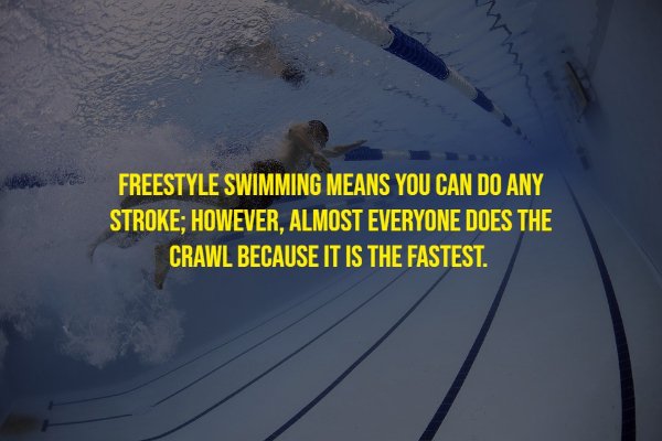 Random Facts (17 pics)