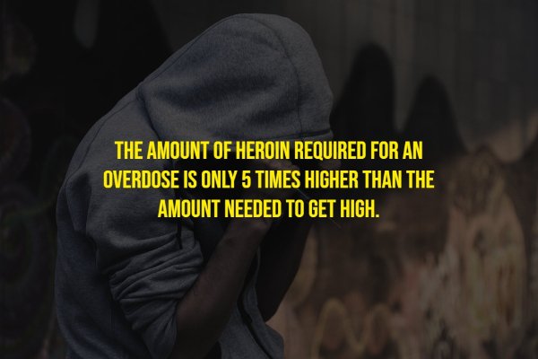 Random Facts (17 pics)