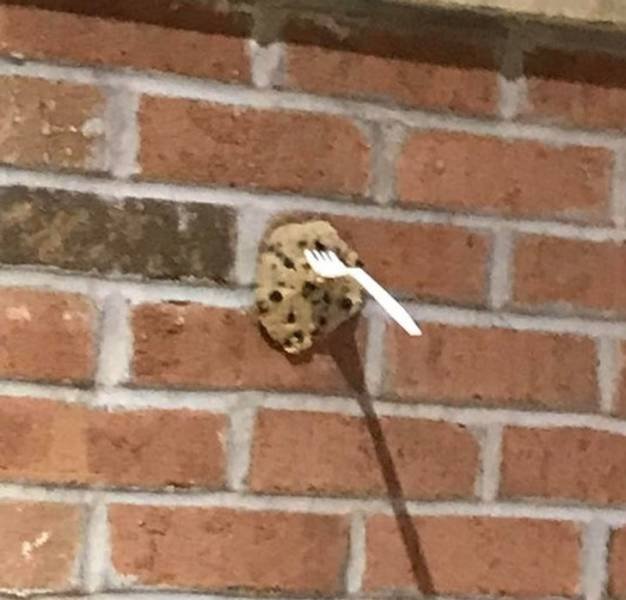 Funny Situations (43 pics) Funny Situations (43 pics)