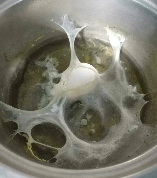 Cooking Fails (39 pics)
