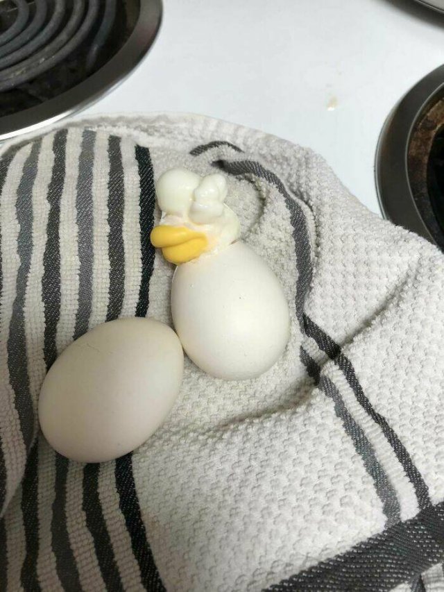 Cooking Fails (39 pics)