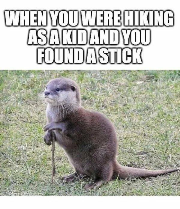 Camping Memes (23 pics)