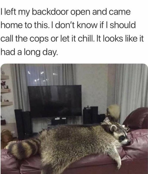Life Memes (28 pics)
