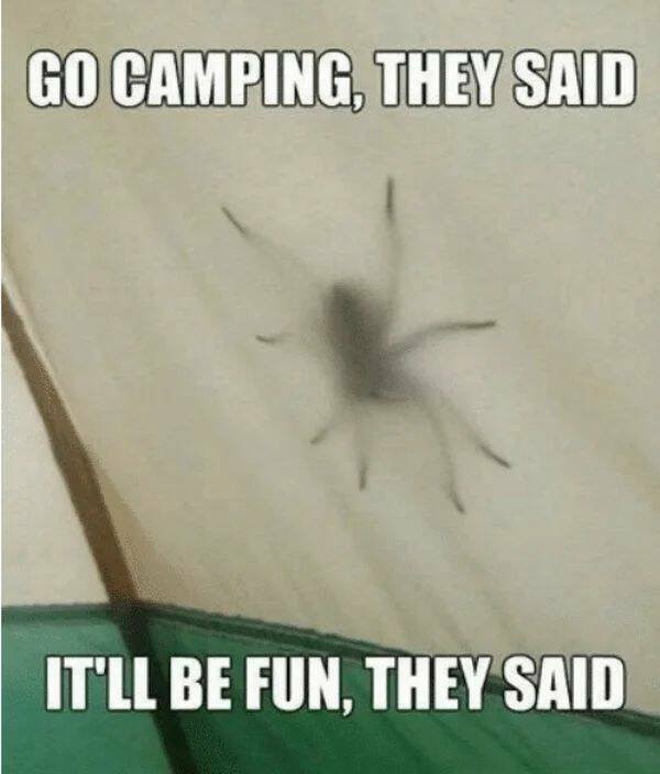 Camping Memes (23 pics)