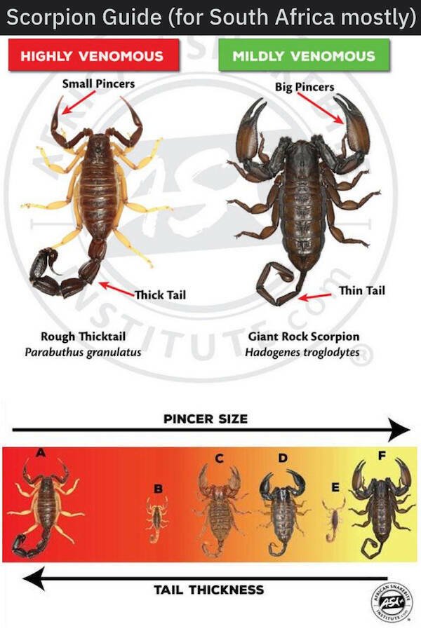 Interesting Data (19 pics)