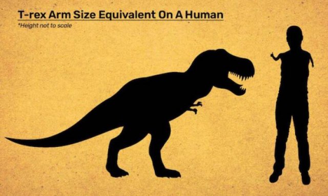 Interesting Data (19 pics)