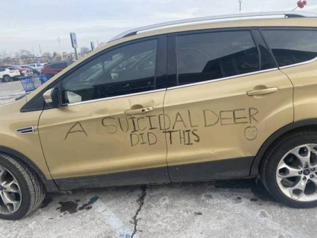 Bad Days Happen (25 pics)