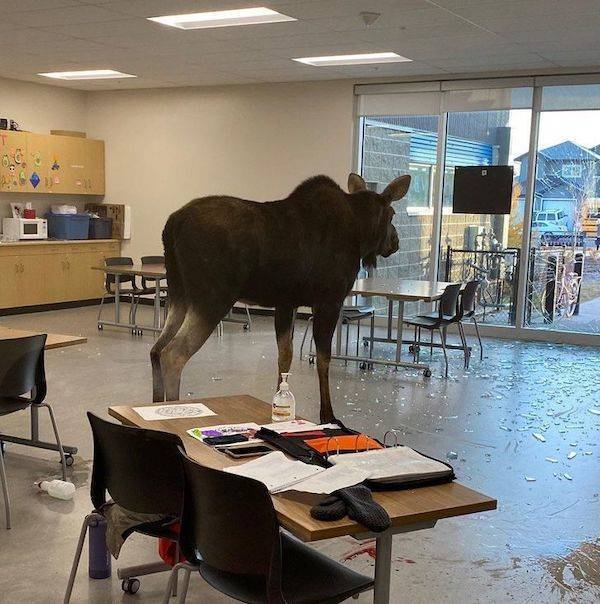 Bad Days Happen (25 pics)