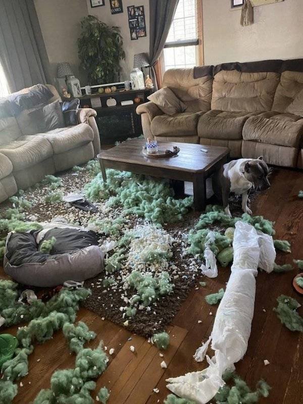 Bad Days Happen (25 pics)