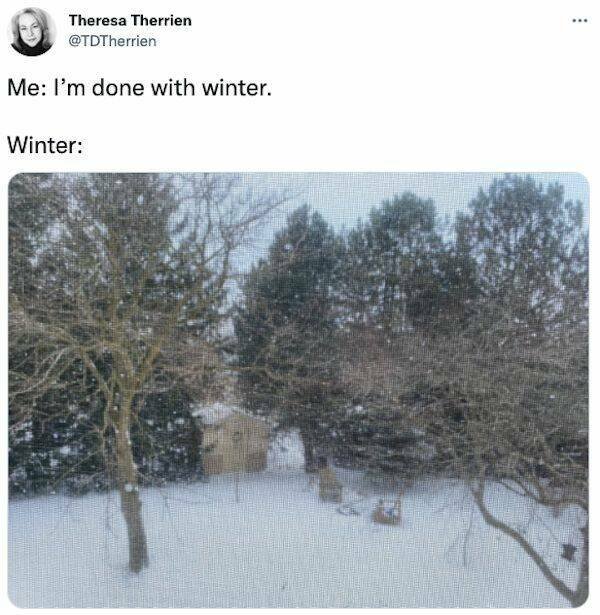 Jokes About Spring (20 pics)