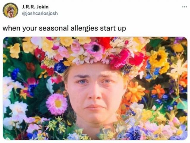 Jokes About Spring (20 pics)