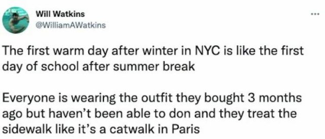 Jokes About Spring (20 pics)