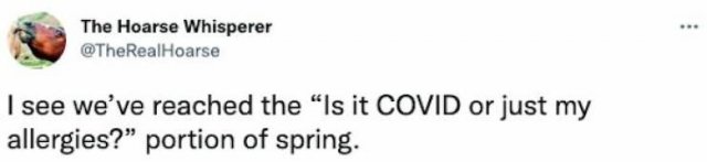 Jokes About Spring (20 pics)