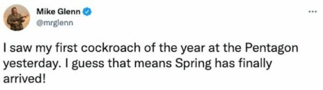 Jokes About Spring (20 pics)