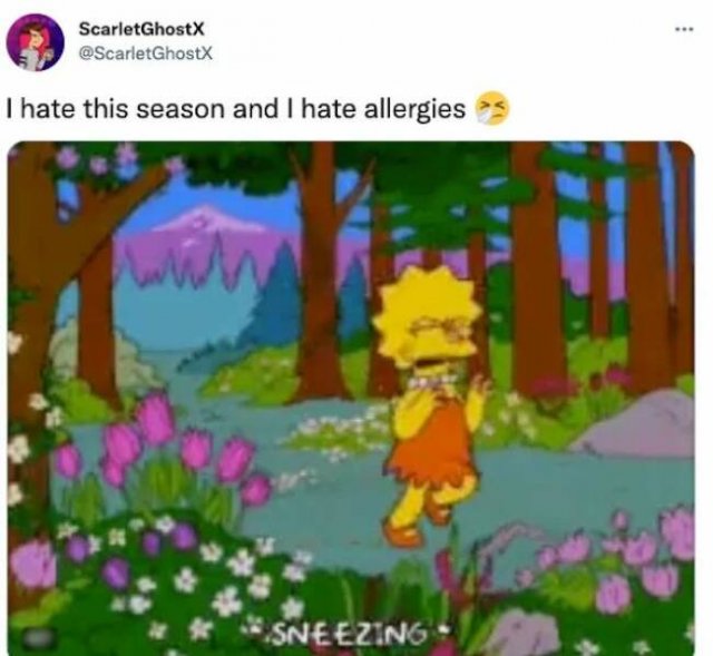 Jokes About Spring (20 pics)