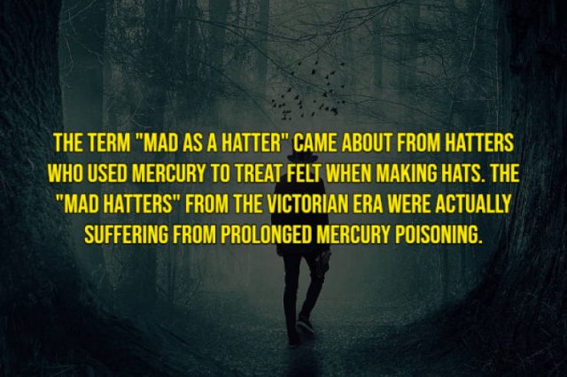 Interesting History Facts (14 pics)