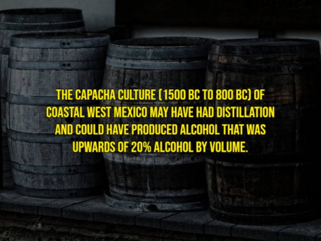 Interesting History Facts (14 pics)