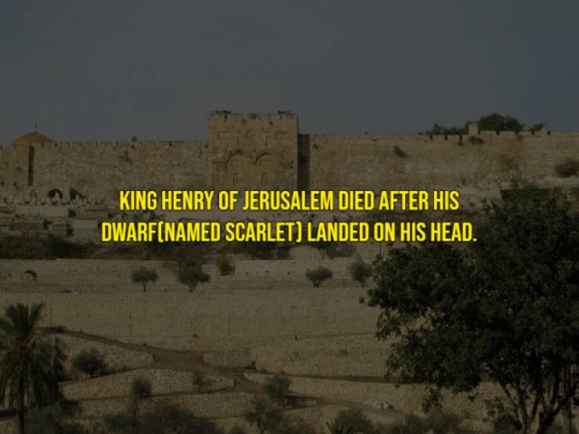 Interesting History Facts (14 pics)