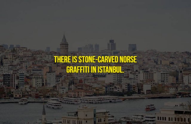 Interesting History Facts (14 pics)