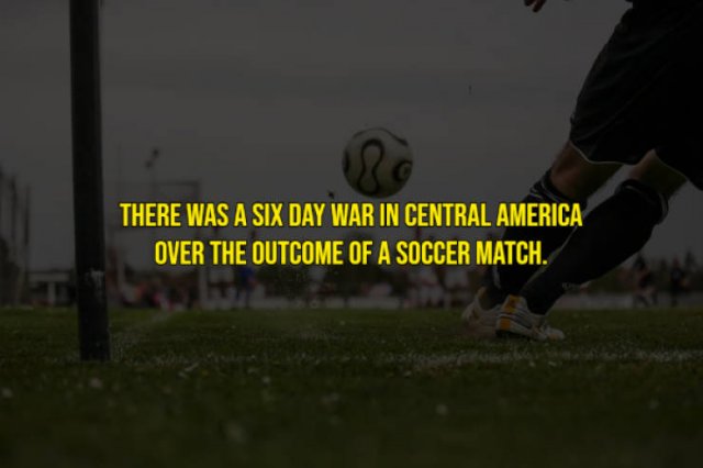 Interesting History Facts (14 pics)