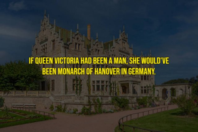 Interesting History Facts (14 pics)