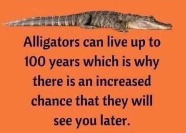 Funny Memes (20 pics)