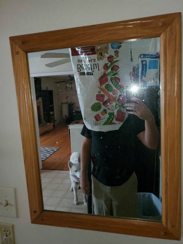They're Trying to Sell Mirrors (38 pics)