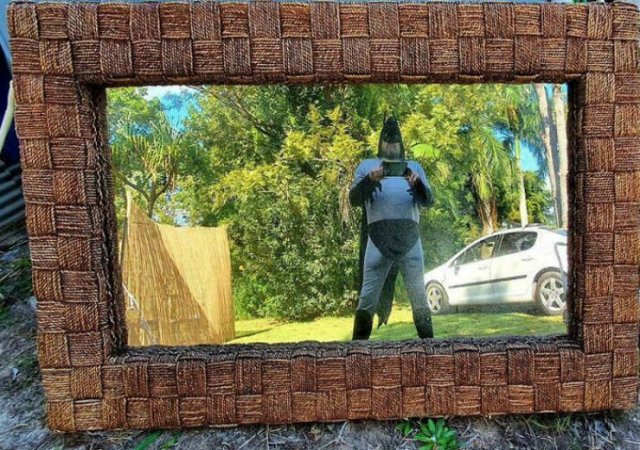 They're Trying to Sell Mirrors (38 pics)