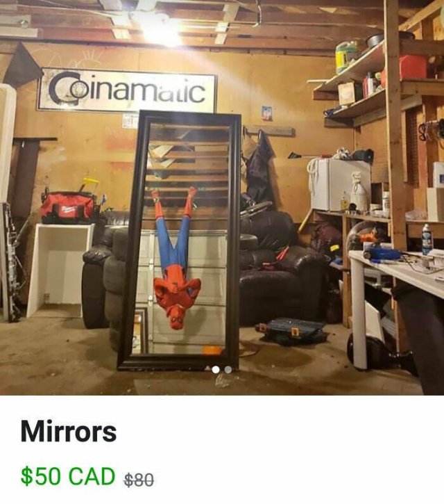 They're Trying to Sell Mirrors (38 pics)