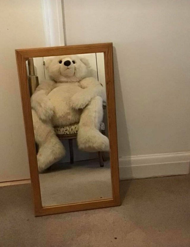 They're Trying to Sell Mirrors (38 pics)