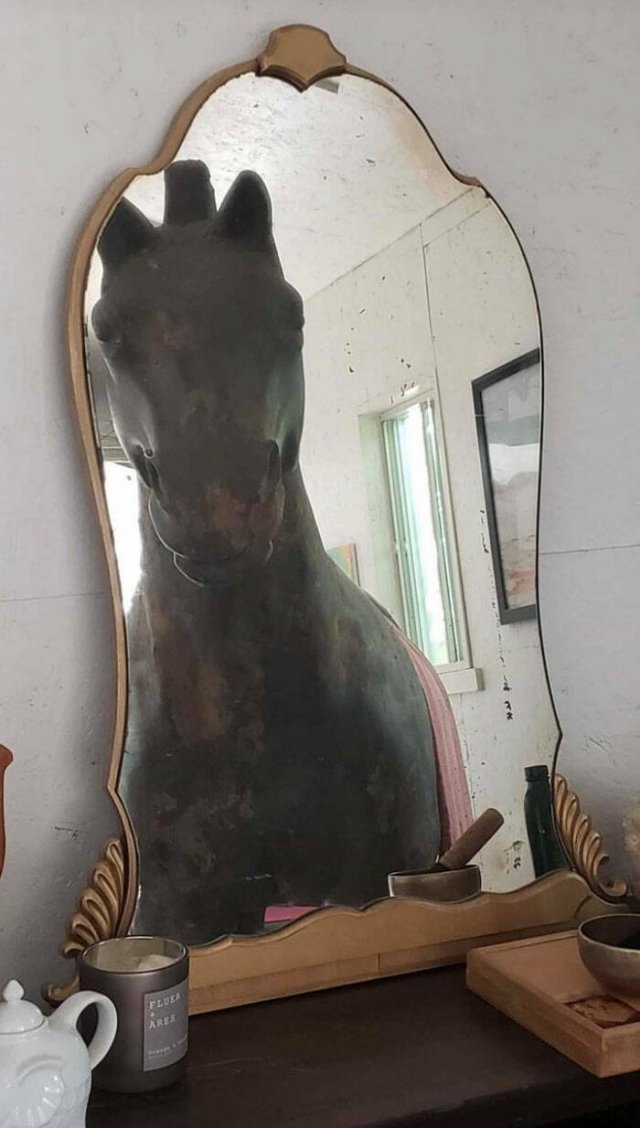 They're Trying to Sell Mirrors (38 pics)