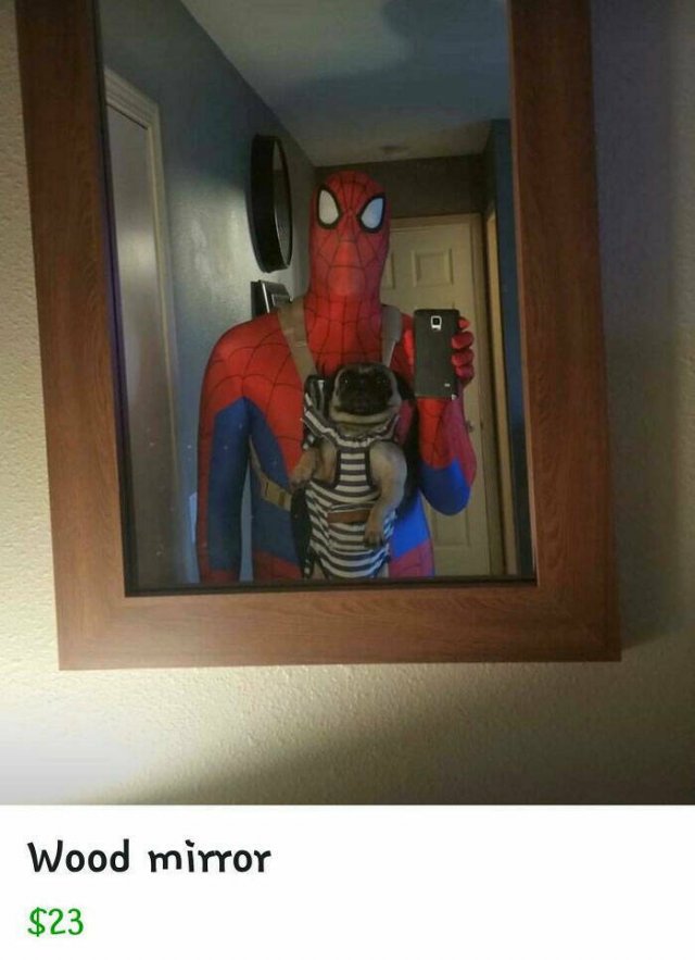 They're Trying to Sell Mirrors (38 pics)