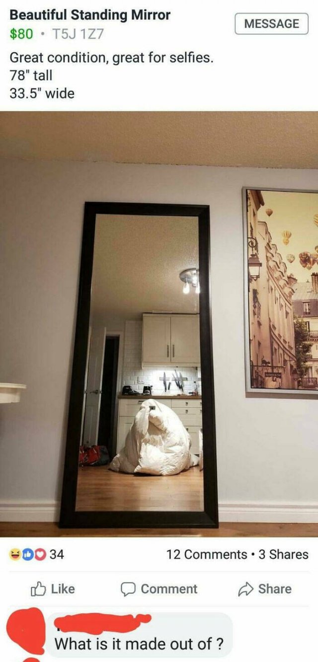 They're Trying to Sell Mirrors (38 pics)