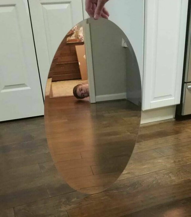 They're Trying to Sell Mirrors (38 pics)