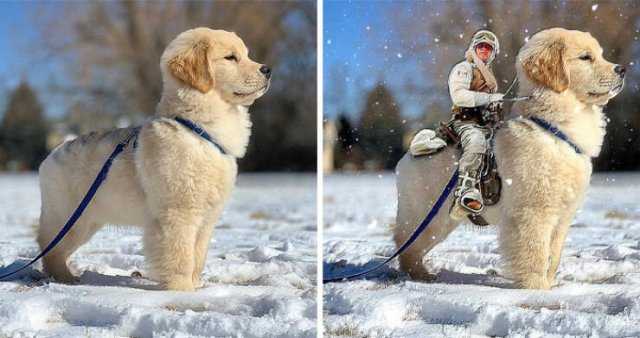 Photoshop Battle (45 pics)