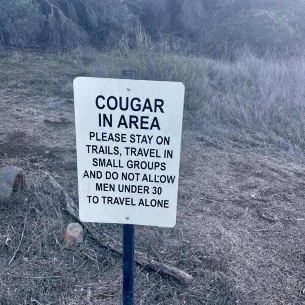Funny Signs (31 pics)
