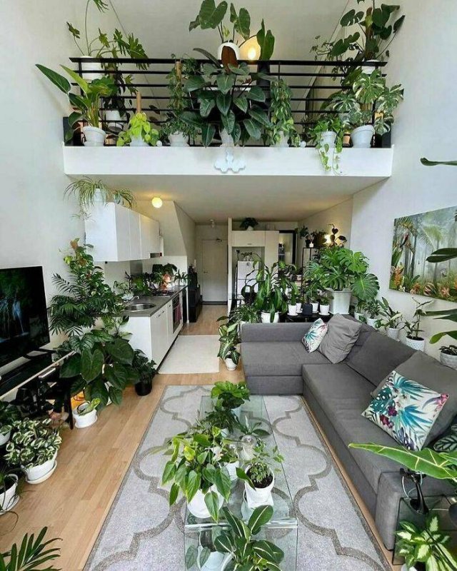 Real Estate Ads Fails (25 pics)